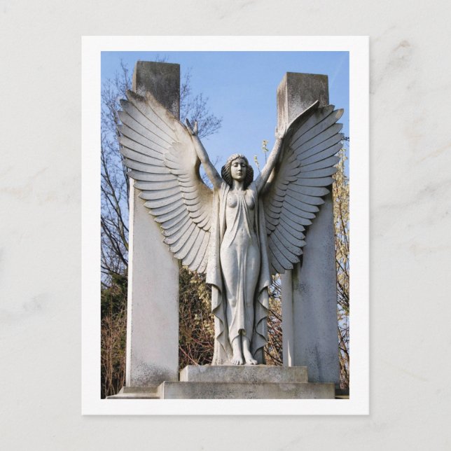 Cemetery Angel Spreading Wings Postcard (Front)