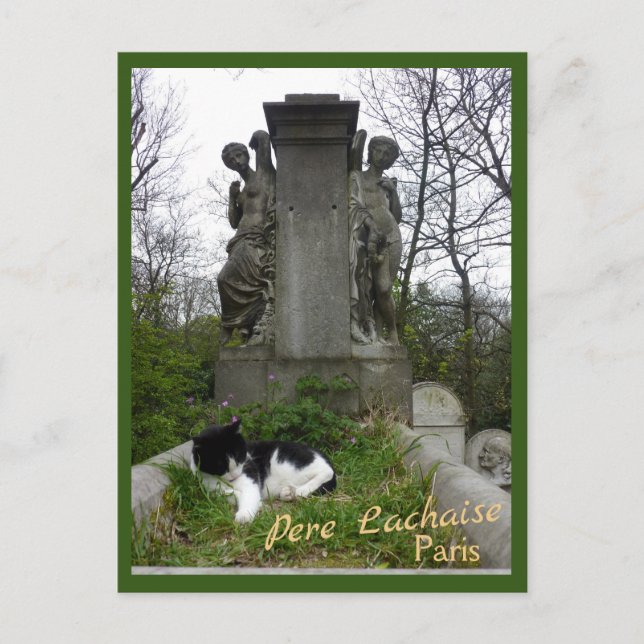 Cemetery Cat with text Postcard (Front)