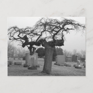 Cemetery Postcard