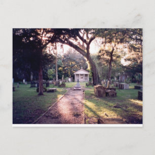 Cemetery Postcard