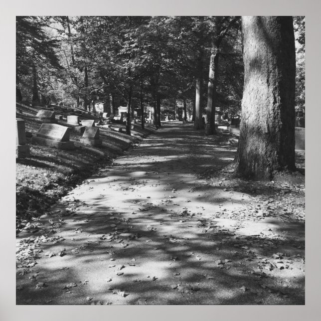 Cemetery Scene Poster (Front)