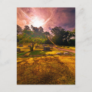 Cemetery with Golden Hour Light Rays Postcard