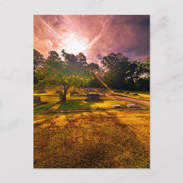 Cemetery with Golden Hour Light Rays Postcard (Front)