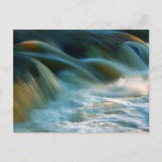 Cenarth Falls Postcard