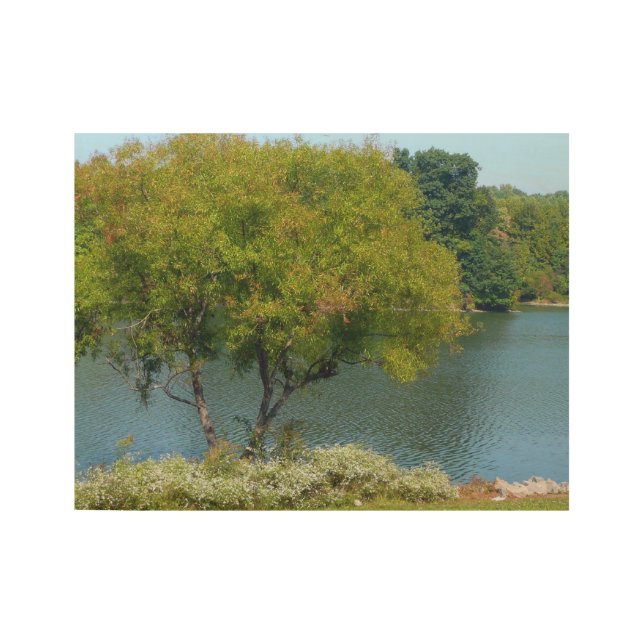 Centennial Lake in Ellicott City Maryland Wood Poster (Front)