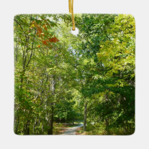 Centennial Wooded Path I Ellicott City Nature Ceramic Ornament