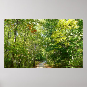 Centennial Wooded Path I Ellicott City Nature Poster