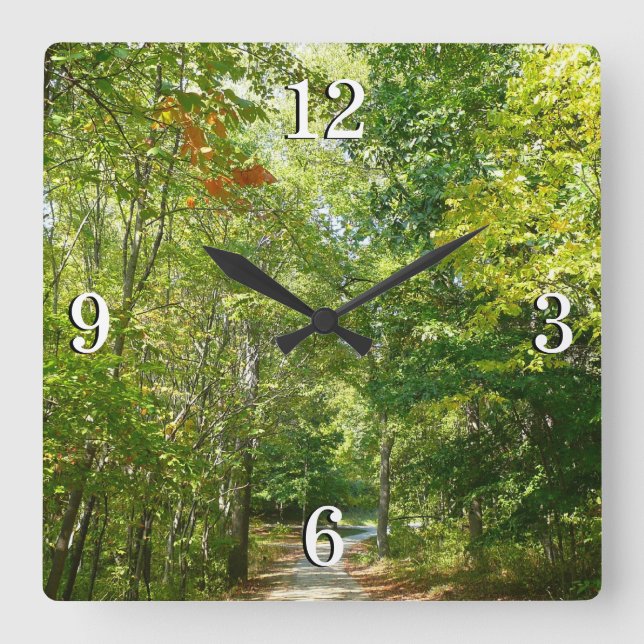 Centennial Wooded Path I Ellicott City Nature Square Wall Clock (Front)