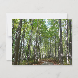 Centennial Wooded Path II Ellicott City Maryland