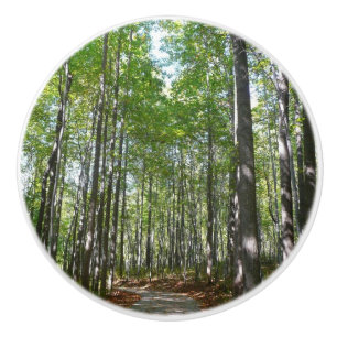 Centennial Wooded Path II Ellicott City Maryland Ceramic Knob