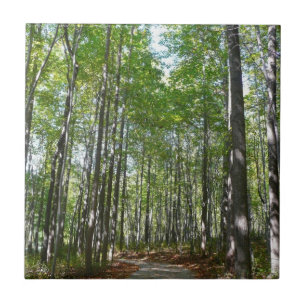 Centennial Wooded Path II Ellicott City Maryland Ceramic Tile