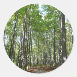 Centennial Wooded Path II Ellicott City Maryland Classic Round Sticker