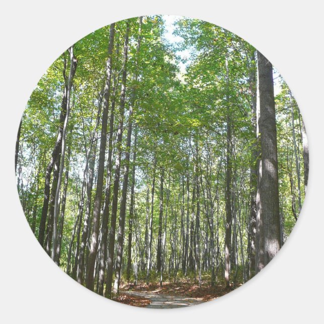Centennial Wooded Path II Ellicott City Maryland Classic Round Sticker (Front)