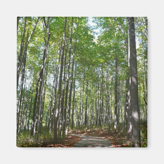 Centennial Wooded Path II Ellicott City Maryland Magnet (Front)