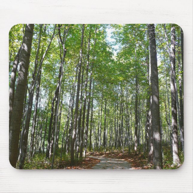 Centennial Wooded Path II Ellicott City Maryland Mouse Pad (Front)