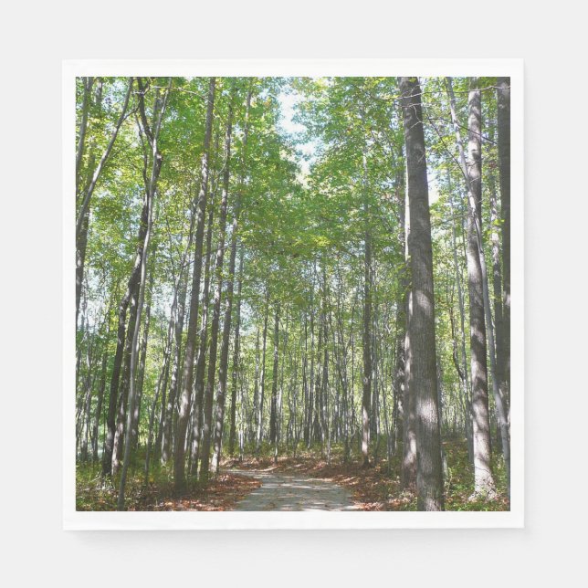 Centennial Wooded Path II Ellicott City Maryland Napkin (Front)