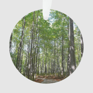 Centennial Wooded Path II Ellicott City Maryland Ornament