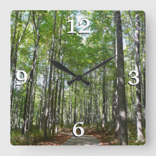 Centennial Wooded Path II Ellicott City Maryland Square Wall Clock