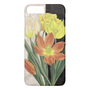 Centerpiece II iPhone 8 Plus/7 Plus Case