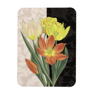 Centerpiece II Magnet