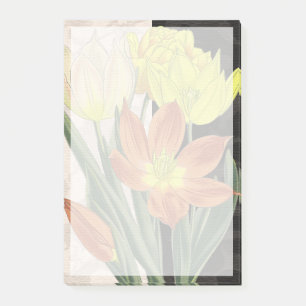 Centerpiece II Post-it Notes
