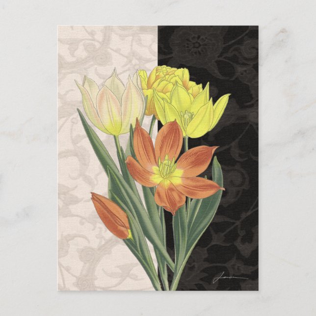 Centerpiece II Postcard (Front)