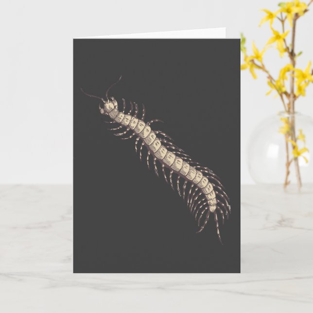 Centipede Greeting Card (Yellow Flower)