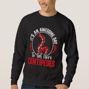 Centipede Hide Entomologist Insect Lover Centipede Sweatshirt