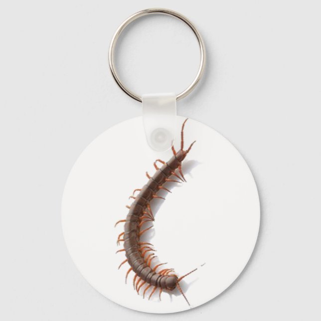 Centipede Key Ring (Front)