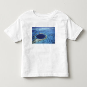 CENTRAL AMERICA, Belise, Large coral reefs off Toddler T-Shirt