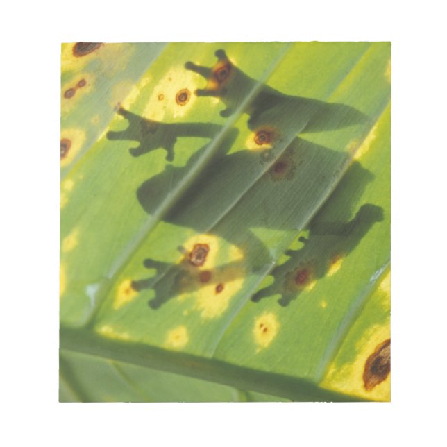 CENTRAL AMERICA, Costa Rica, Back-lit frog on Notepad (Front)