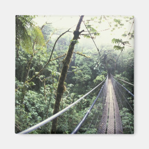 Central America, Costa Rica, Monteverde Cloud Magnet