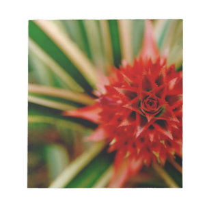 Central America, Costa Rica, San Vito, Wilson Notepad