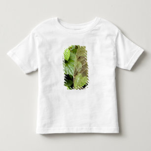 Central America, Costa Rica, Sarapiqui, Braulio Toddler T-Shirt
