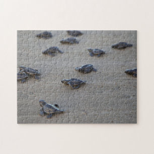 Central America, El Salvador, Pacific Ocean Jigsaw Puzzle