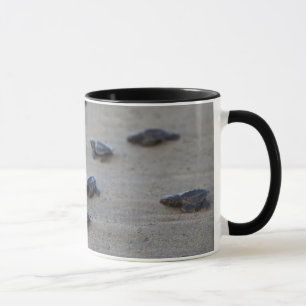 Central America, El Salvador, Pacific Ocean Mug