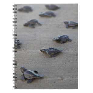 Central America, El Salvador, Pacific Ocean Notebook