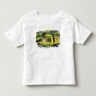 Central America, Honduras. Keel-billed Toucan Toddler T-Shirt
