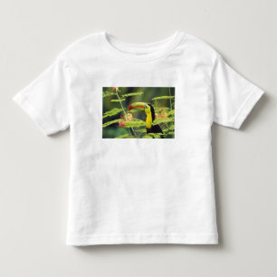Central America, Honduras. Keel-billed Toucan Toddler T-Shirt
