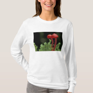 Central America, Panama, Chiriqui Province, 2 T-Shirt