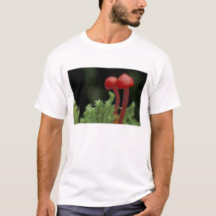 Central America, Panama, Chiriqui Province, 2 T-Shirt