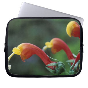 Central America, Panama, Chiriqui Province, Laptop Sleeve
