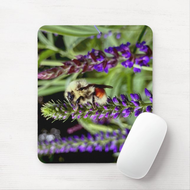 Central Bumblebee with Flowering Speedwell Plant Mouse Pad (With Mouse)
