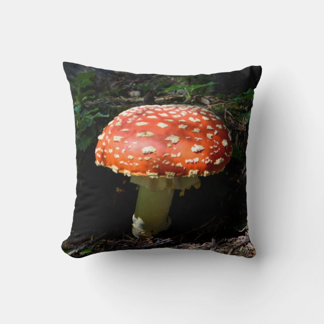 Central Cascades, Washington State Cushion (Front)