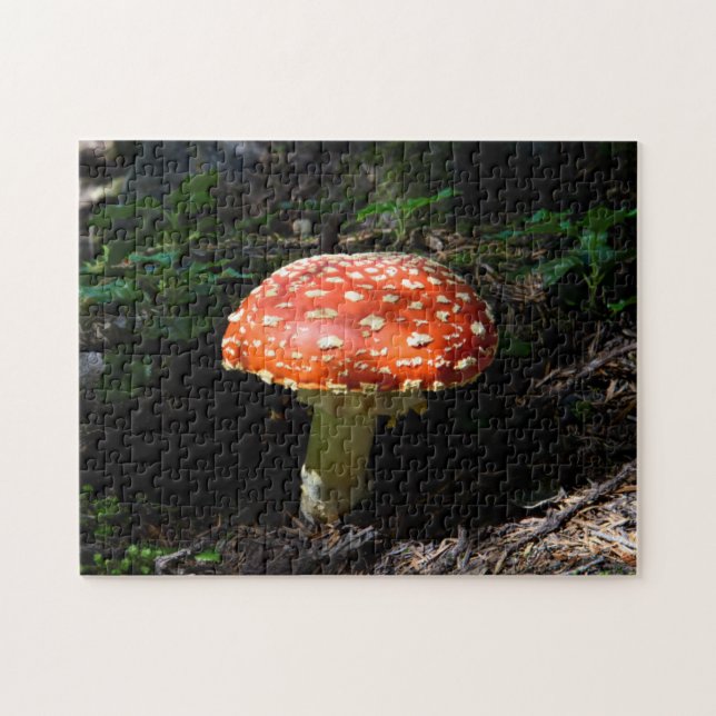 Central Cascades, Washington State Jigsaw Puzzle (Horizontal)