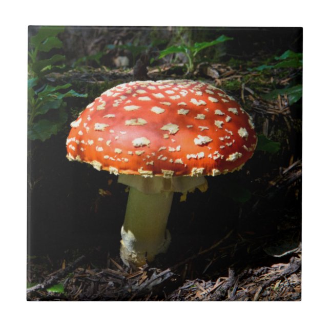 Central Cascades, Washington State Tile (Front)