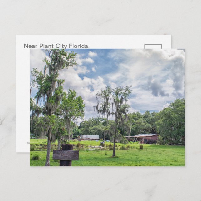 Central Florida Homestead Holiday Postcard (Front/Back)