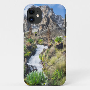 Central Mount Kenya National Park iPhone 11 Case