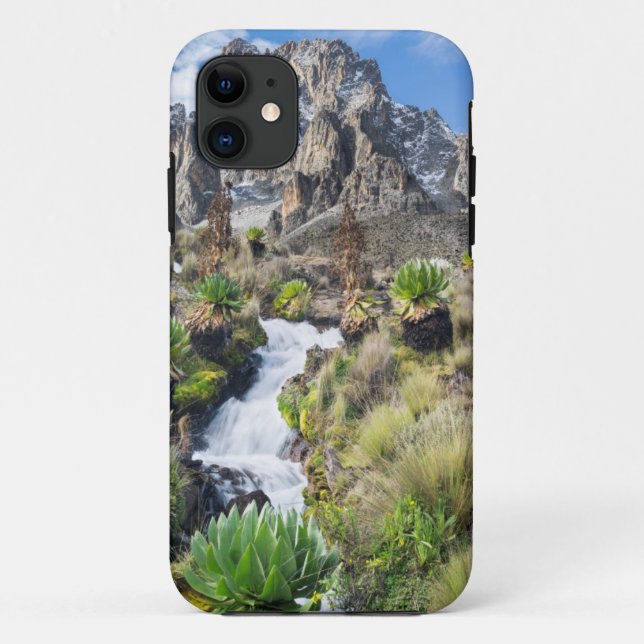 Central Mount Kenya National Park Case-Mate iPhone Case (Back)