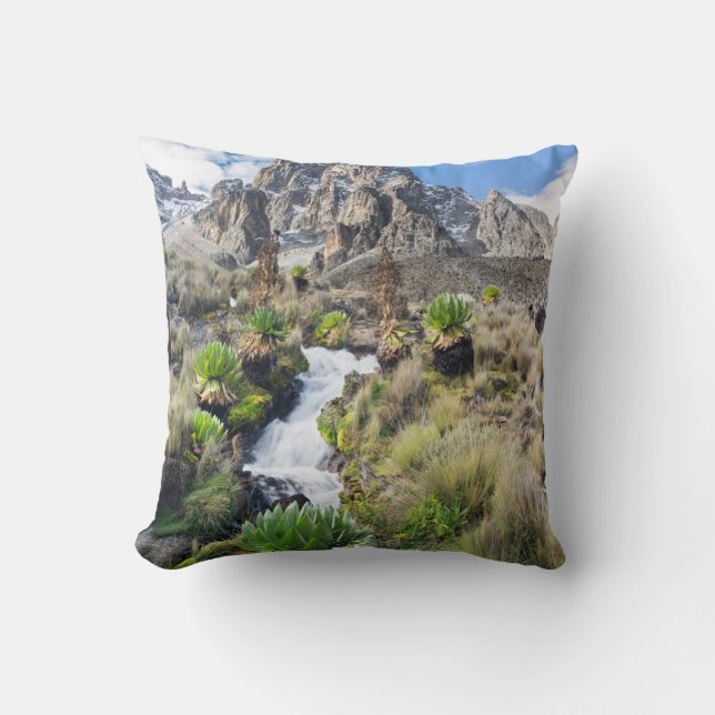 Central Mount Kenya National Park Cushion (Front)